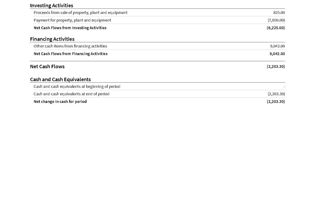 What is a Statement of Cash Flows?